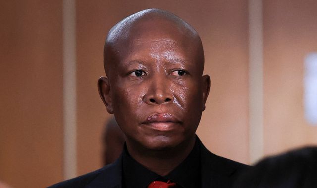 South African opposition leader Julius Malema jailed for firing rifle at rally