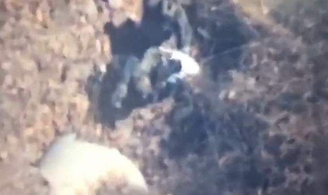 Mexican army captures cartel leader tipped to succeed 'El Mencho'