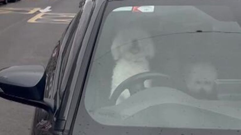 In full: Volodymyr Zelenskyy addresses Munich Security Conference | UK ...