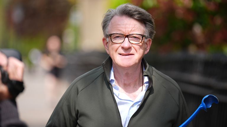 Peter Mandelson, pictured taking his dog for a walk in London on 21 April. Pic: PA