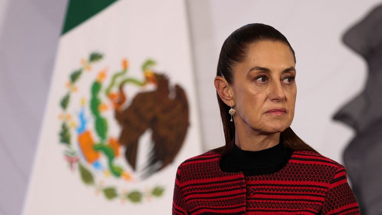 Mexican President Claudia Sheinbaum said the incident would 'not be allowed to go unaddressed'. File pic: Reuters