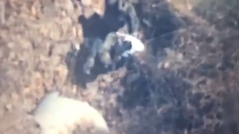 Footage provided by Mexico's navy shows the moment Audias Flores Silva is arrested. Pic: Mexican Navy
