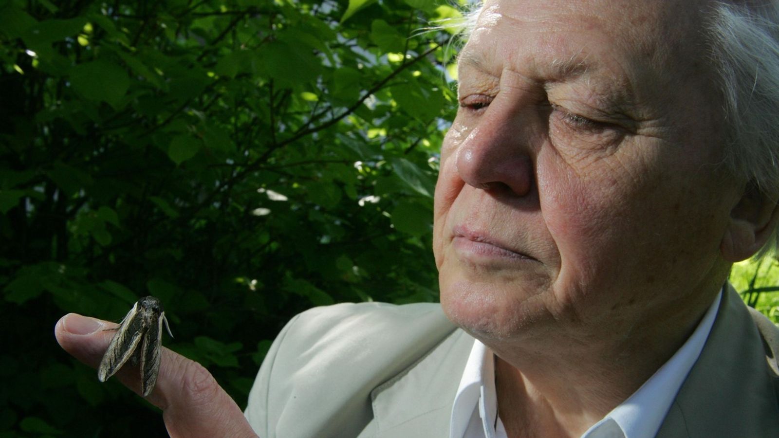 Attenborough and the Narrative of Survival