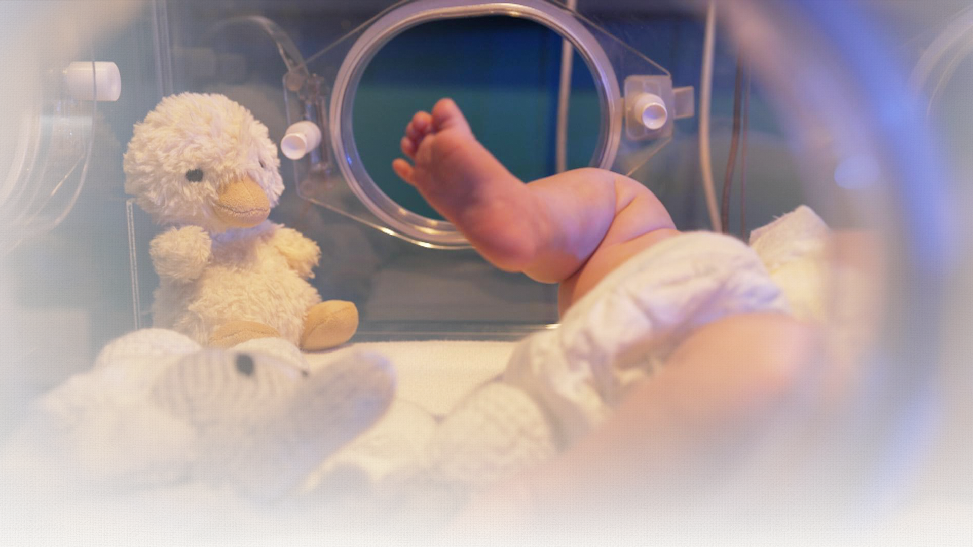 <a href='https://news.sky.com/story/maternity-13546586'>Inside UK's maternity system: What's going wrong?</a>