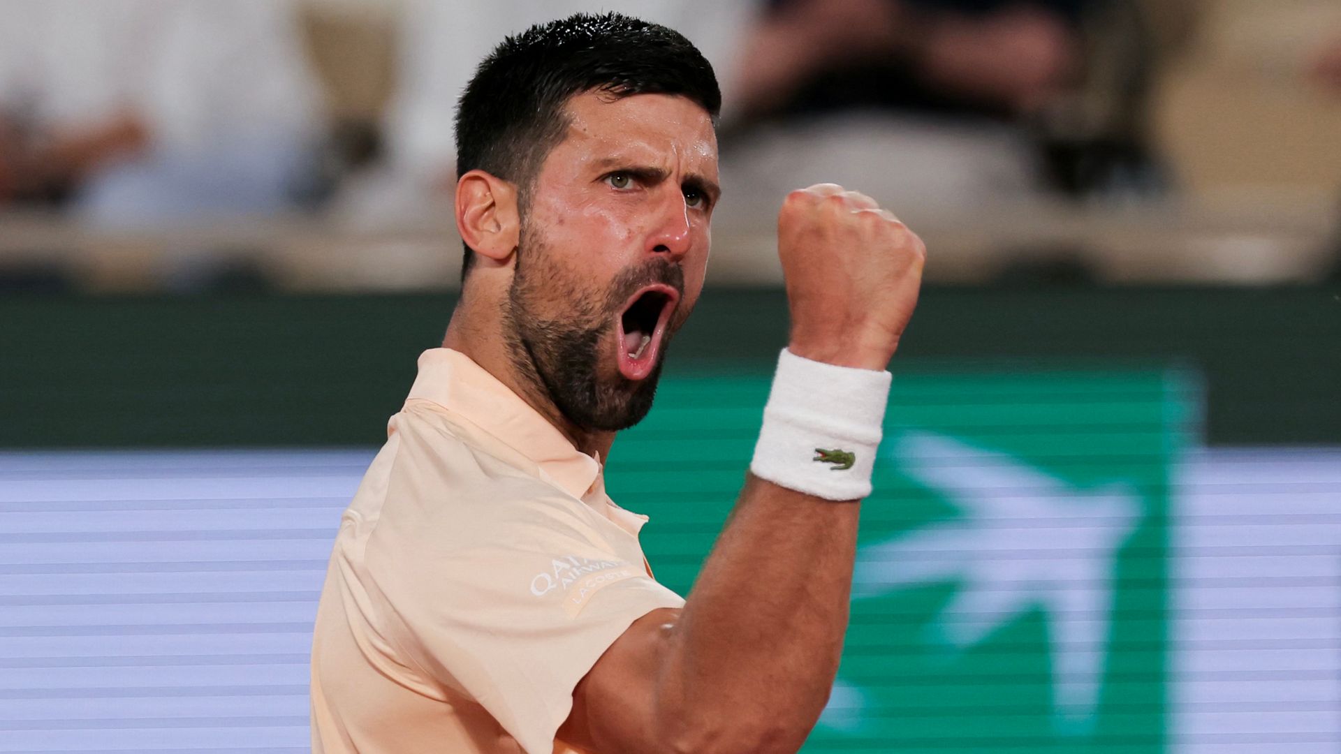 <a href='https://www.skysports.com/tennis/scores-schedule'>French Open scores: Djokovic in third-round action as Jodar, Swiatek win</a>