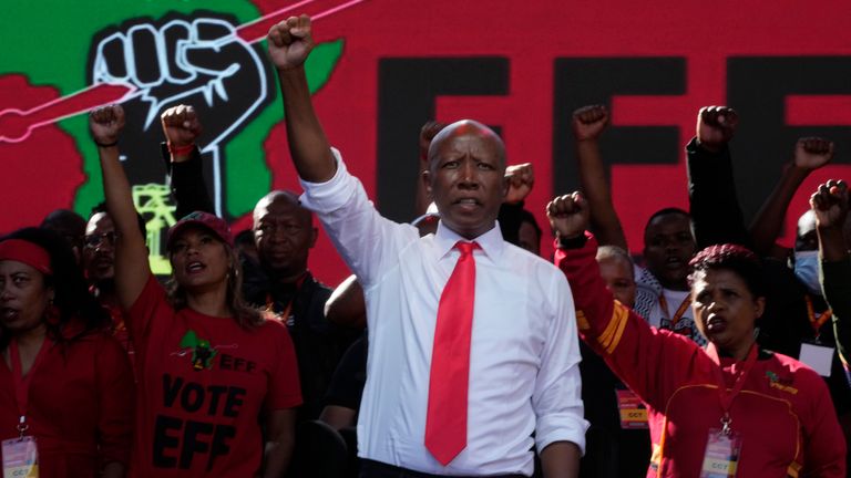 Julius Malema raises his fist at a rally in Polokwane, South Africa. Pic: AP