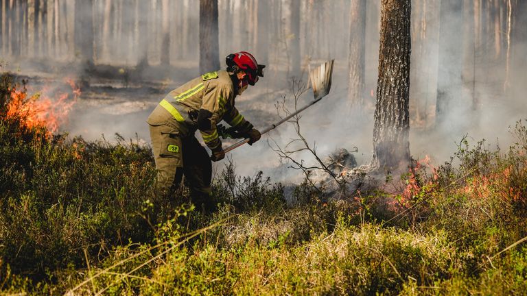 Fire crews are using water and beaters in Solska Forest. Pic: Państwowa Straż Pożarna