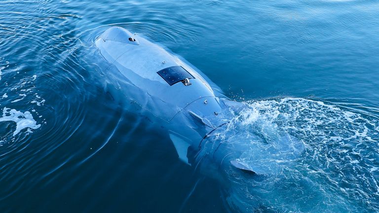An Autonomous Underwater Vehicle. Pic: AP