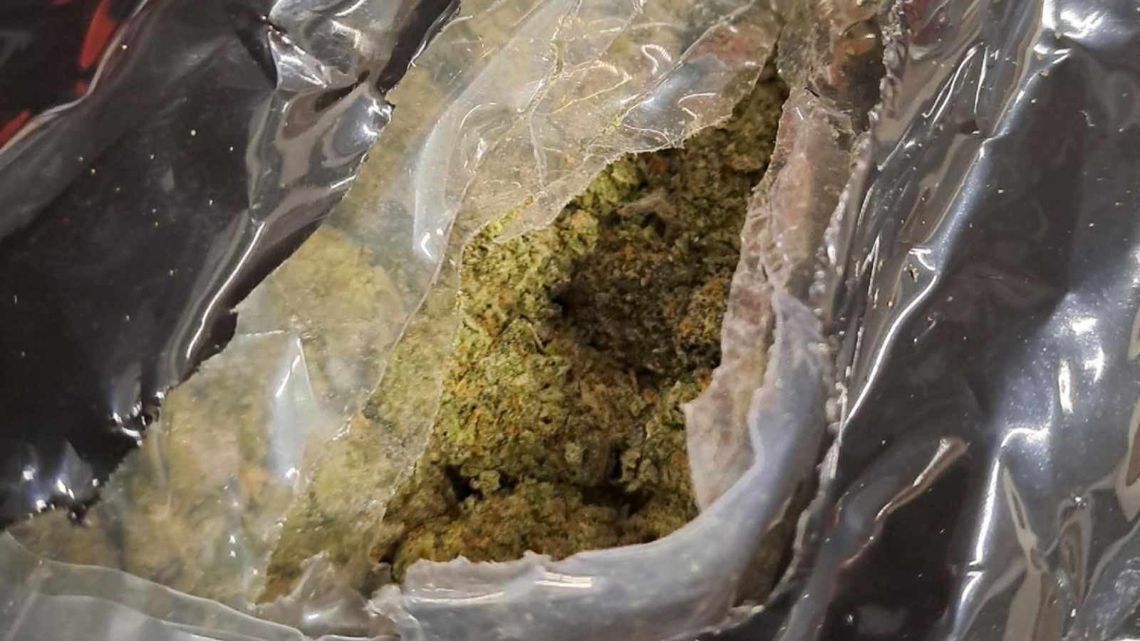 Three arrested after record-breaking 12-tonne cannabis haul seized | UK ...