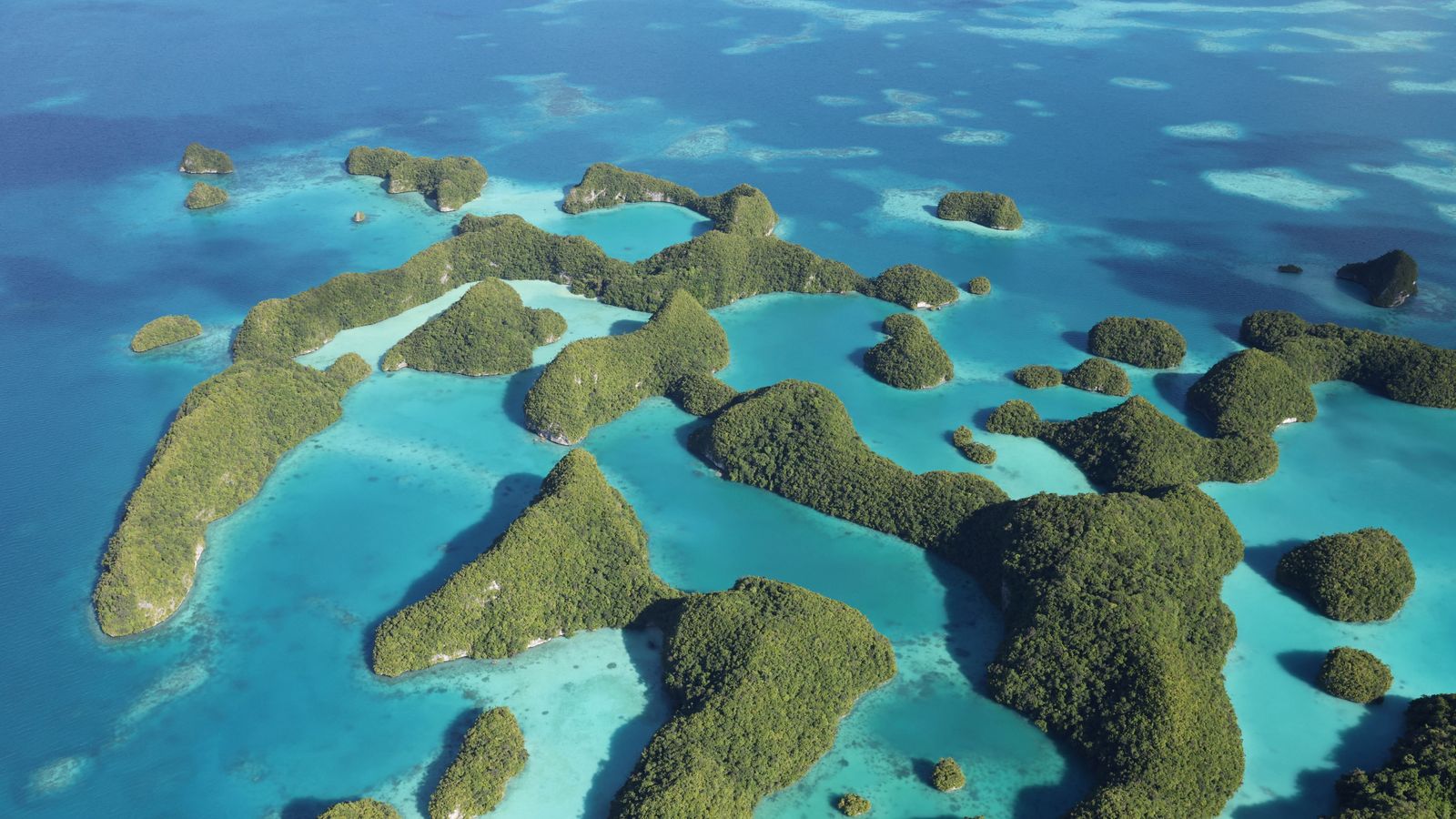 Billionaire to invest in ocean protection as UK and US scale back funding