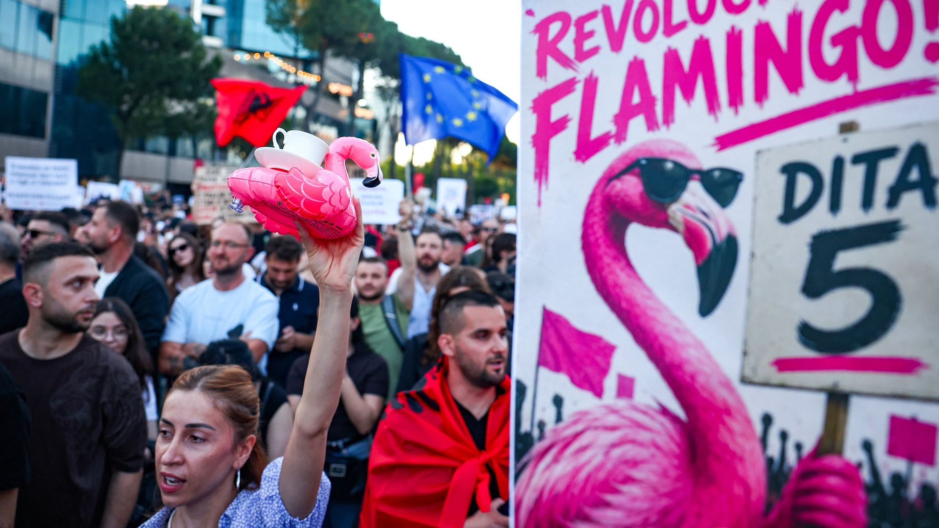 Jared Kushner vs the Flamingos - Albanians protest against luxury resort plans