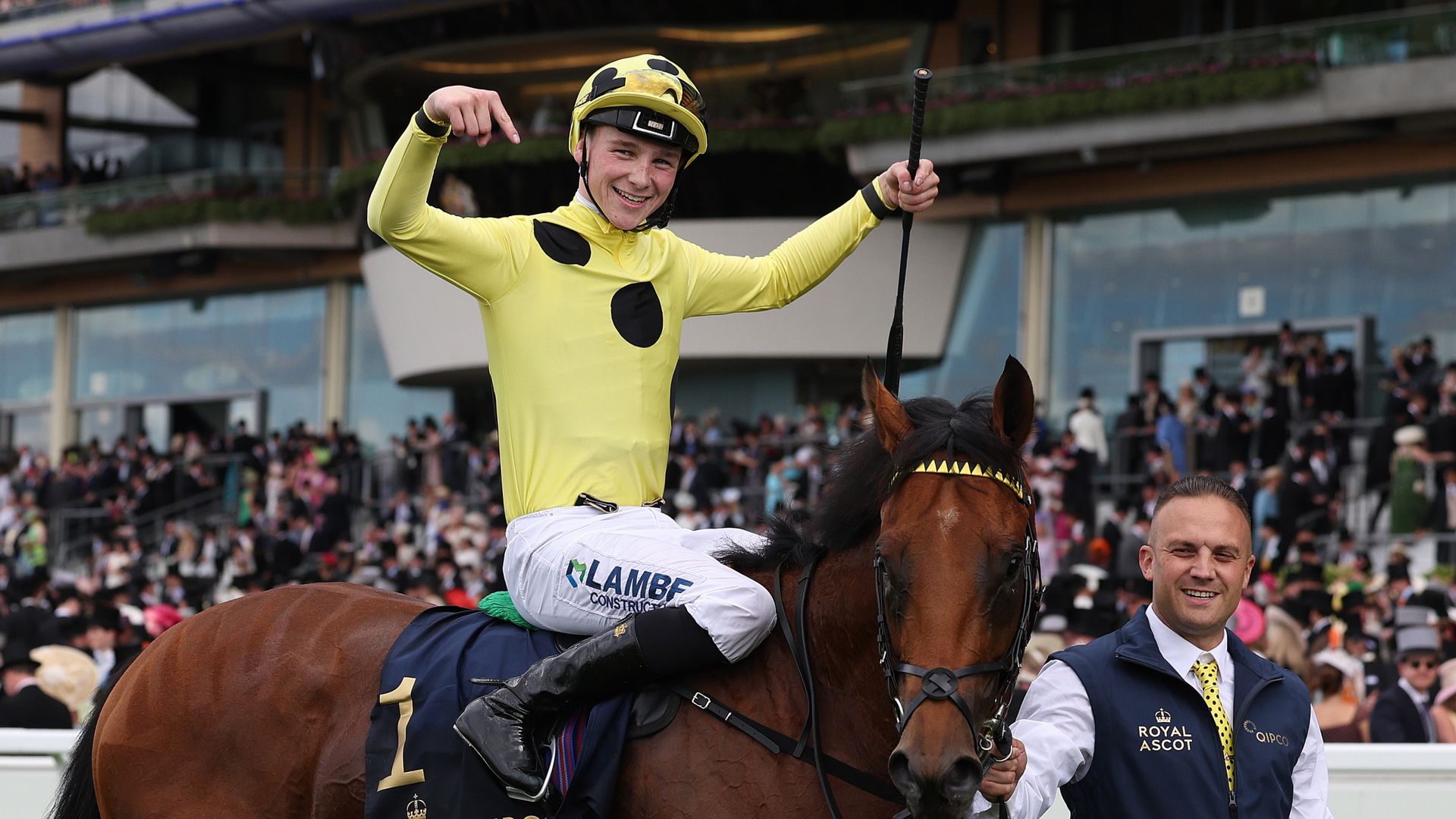 Unbeaten star Bow Echo in shock retirement after setback