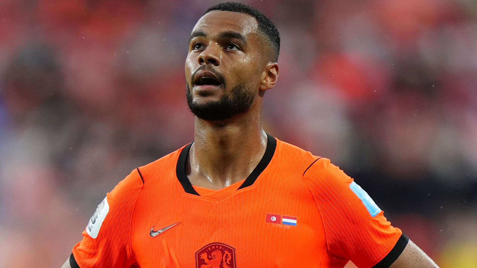 Gakpo to stay with Netherlands squad after loss of unborn son