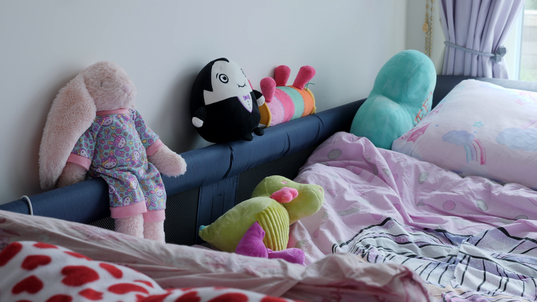 Emily's precious stuffed toys