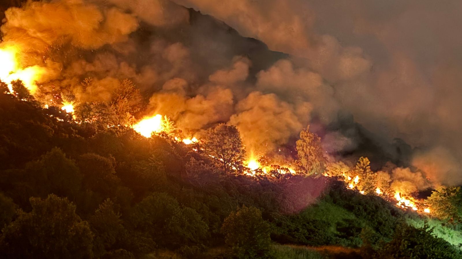 Firefighters battling blaze at Arthur's Seat in Edinburgh | UK News