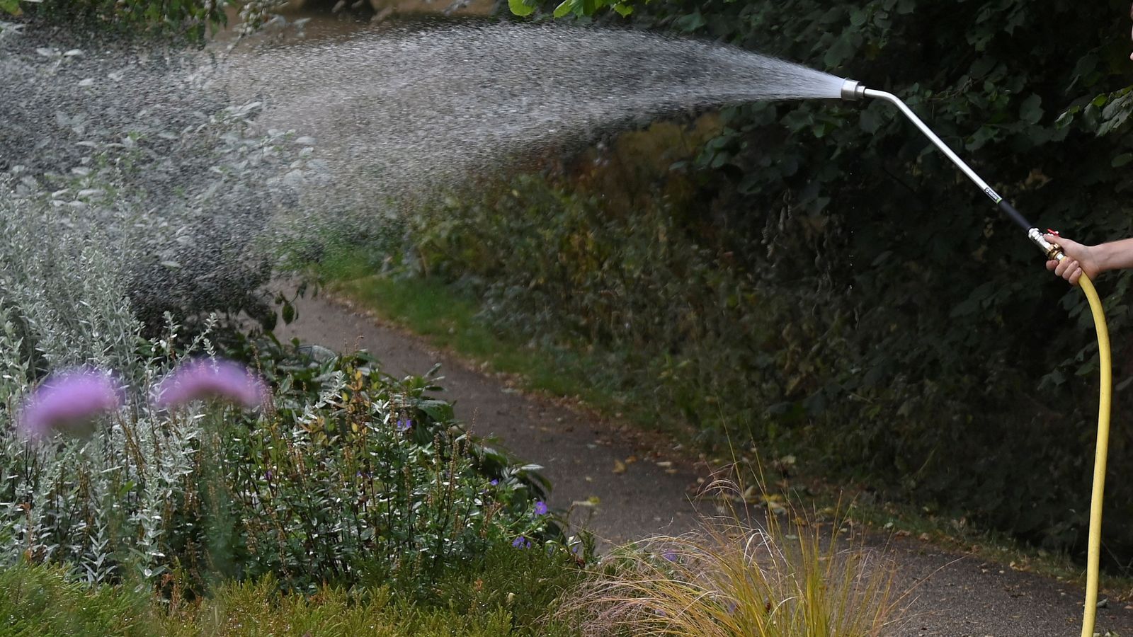 Thames Water announces hosepipe ban for over 10 million customers