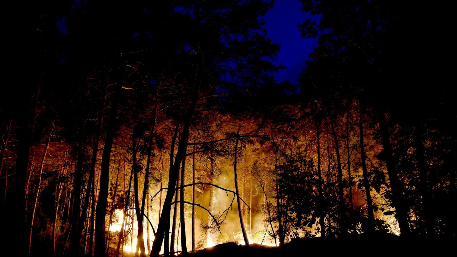 Wildfire of 'exceptional scale' breaks out in forest near Paris