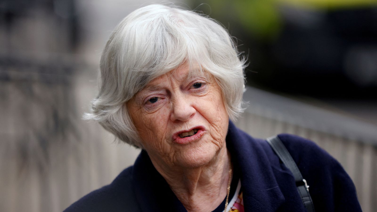 Politikus Senior Inggris Ann Widdecombe Tewas Mengenaskan, Polisi Bekuk Tersangka Baru!