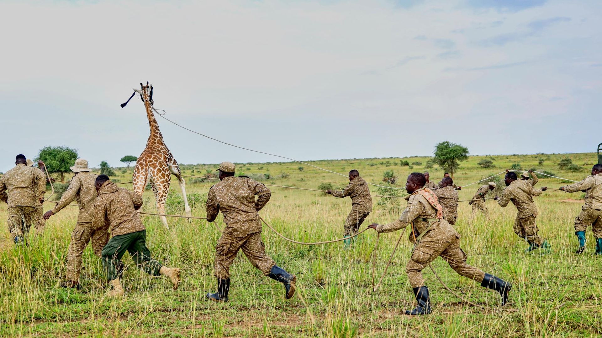 <a href='https://news.sky.com/story/the-most-striking-pictures-of-the-week-13566815'>The most striking pictures of the week</a>