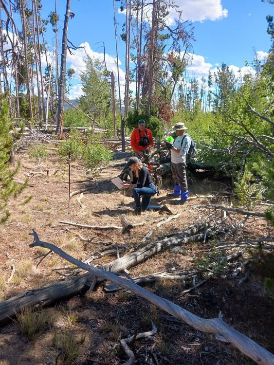 The remains of John Gillies were found near to Sweetwater Gap guard station. Pic: Sublette County Sheriff's Office