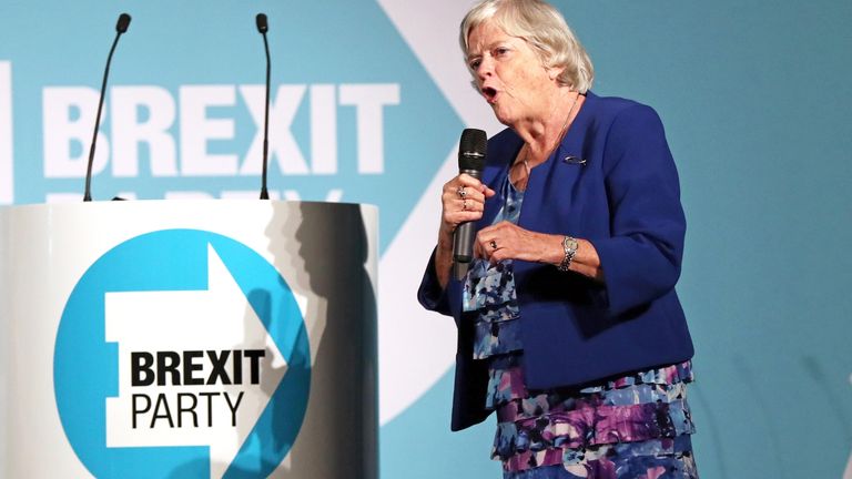 Ann Widdecombe during a Brexit Party rally in Maidstone. File pic: PA