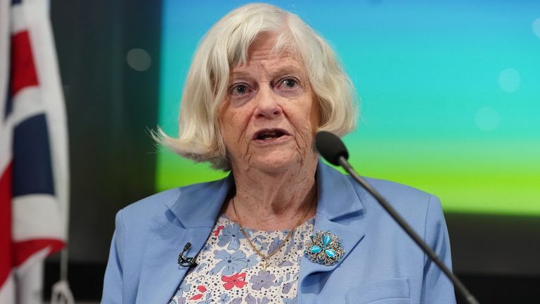 Ann Widdecombe 'repeatedly hit with hammer in kitchen', court told