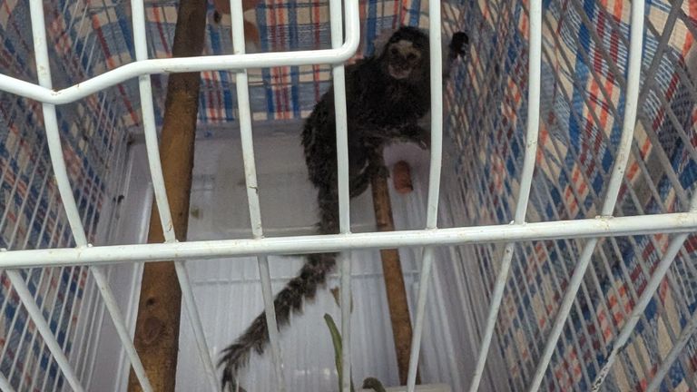 RSPCA/PA