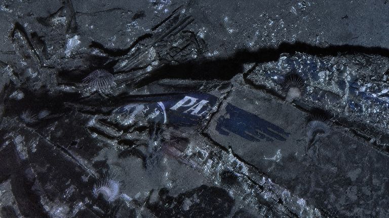 An image of the wreck with the Pan Am logo still visible. Pic: Air/Sea Heritage Foundation and Deep Sea Vision