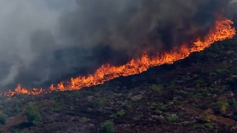 Wildfires threaten Bordeaux wine region in France as major incident declared near Suffolk nuclear plant; 90 firefighters battle blaze amid amber heat-health warning.