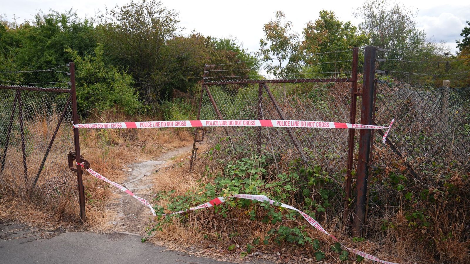 Murder investigation under way after human remains found in Feltham woodland; post-mortem suggests they belong to a woman aged 25-45