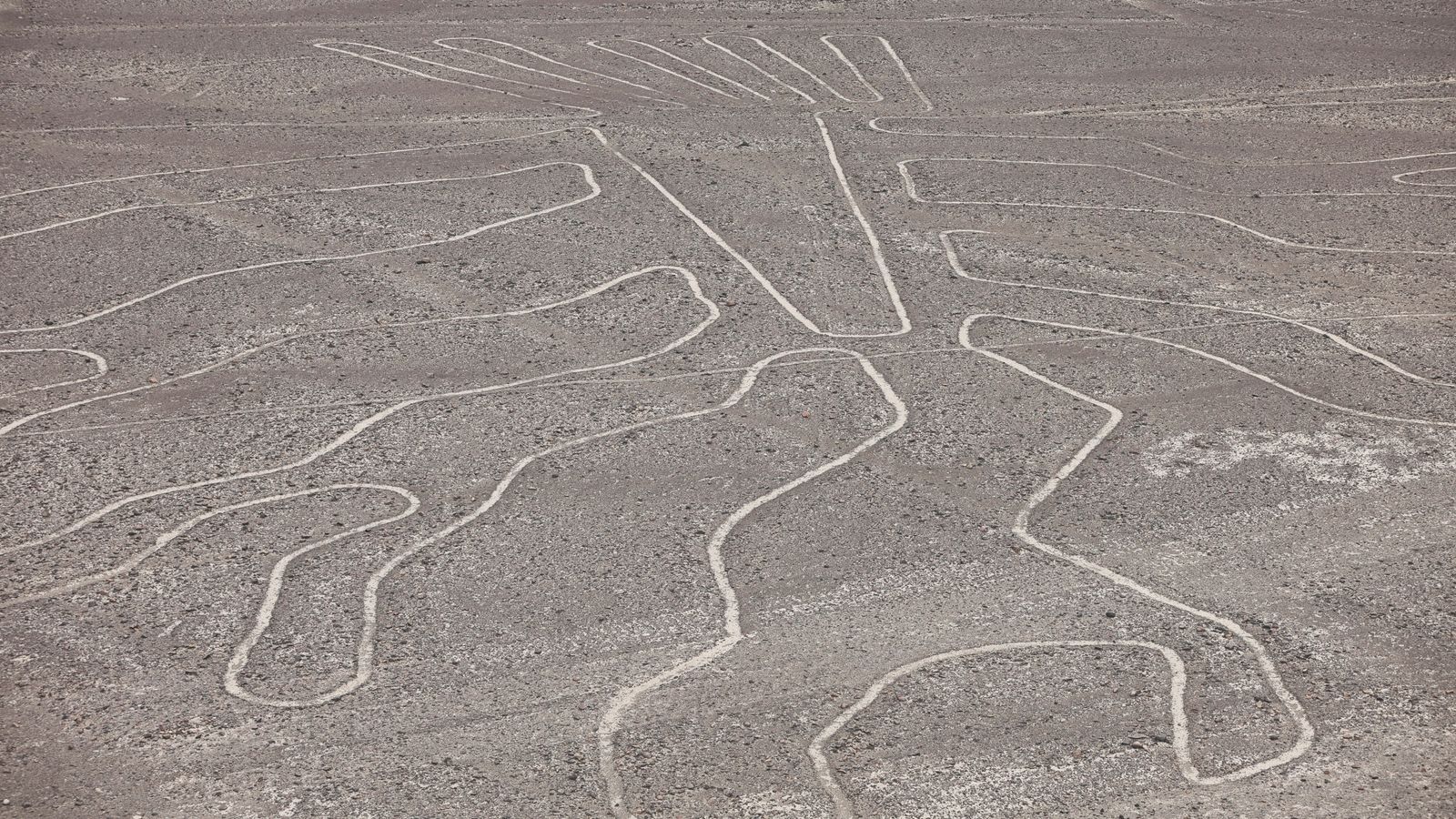 A small tourist plane on a sightseeing flight over Peru's Nazca Lines crashed; 13 killed, local authorities say