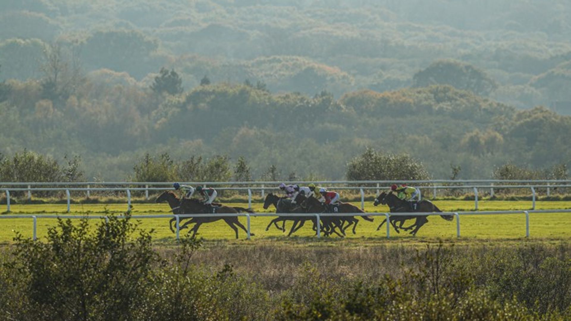 Sixtygeesbaby and Safari Dream lock horns at Ffos Las