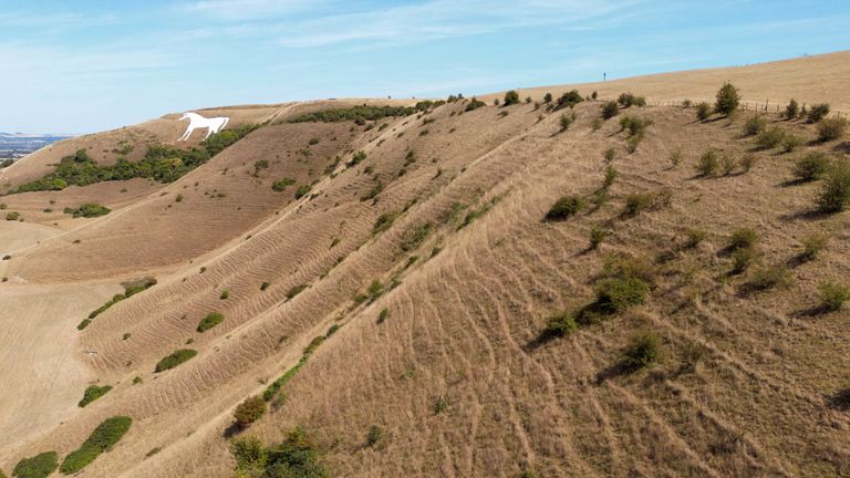 Arid land around Bratton Camp Iron Age hillfort in Wiltshire. Pic: Reuters