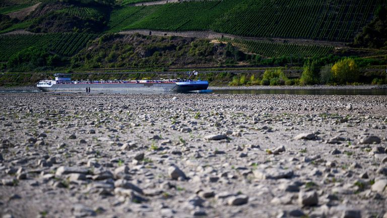 The partially dried-up Rhine riverbed in Osterspai, Germany, on Saturday. Pic: Reuters