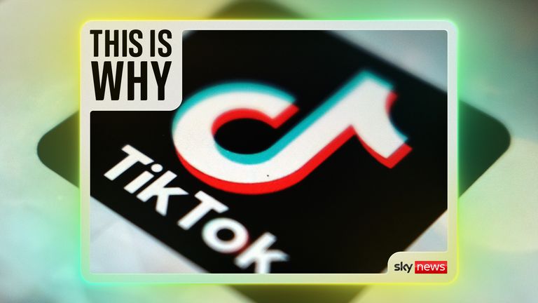 TikTok faces scrutiny over dangerous driving content as PM's spokesman calls glorification 'utterly disgraceful'; two fatal wrong-way crashes prompt debate