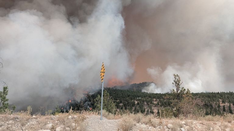 Smoke rises from the Bald Range wildfire. Pic: Reuters