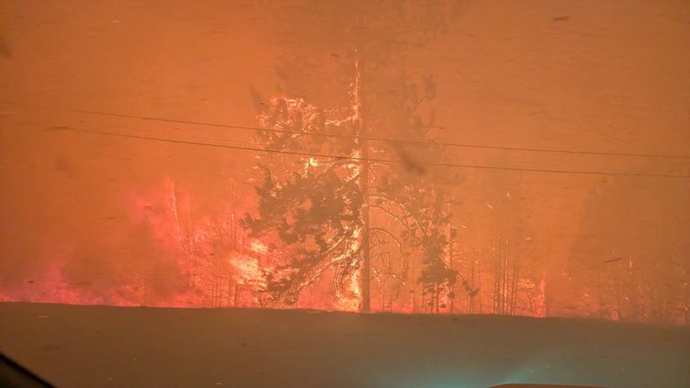 Trees burn in the Bald Range wildfire in British Columbia. Pic: Reuters