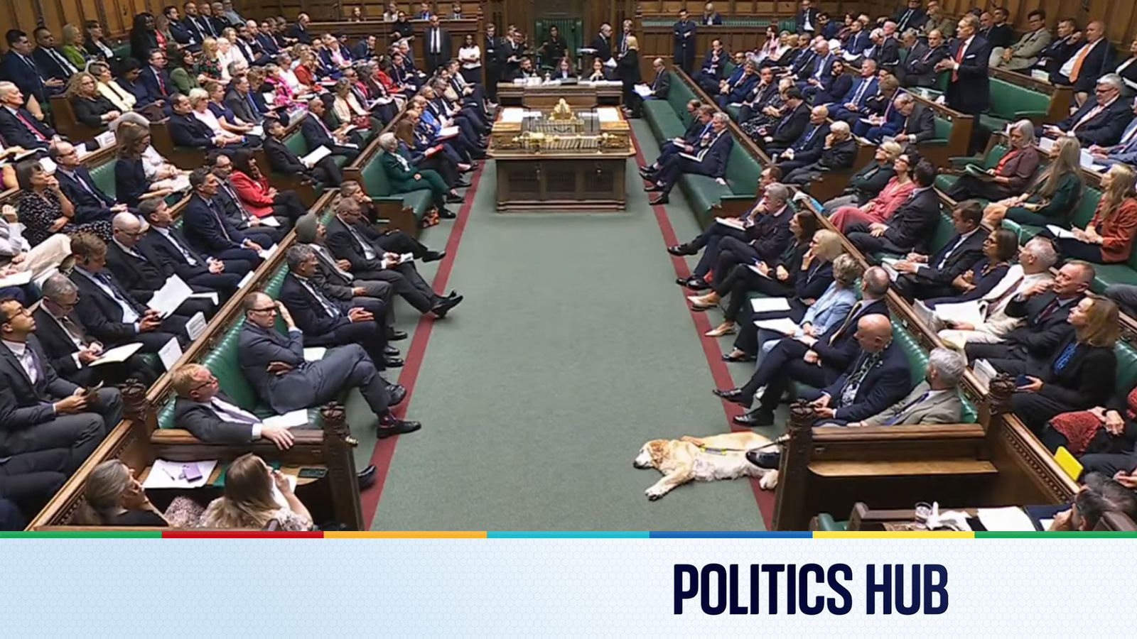 Did The Assisted Dying Bill Pass