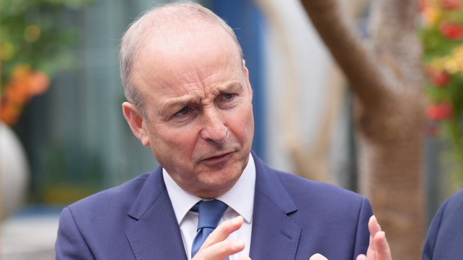 Irish citizenship applicants to prove English or Irish language skills as Jim O'Callaghan proposes tighter rules; residency to rise from five to eight years