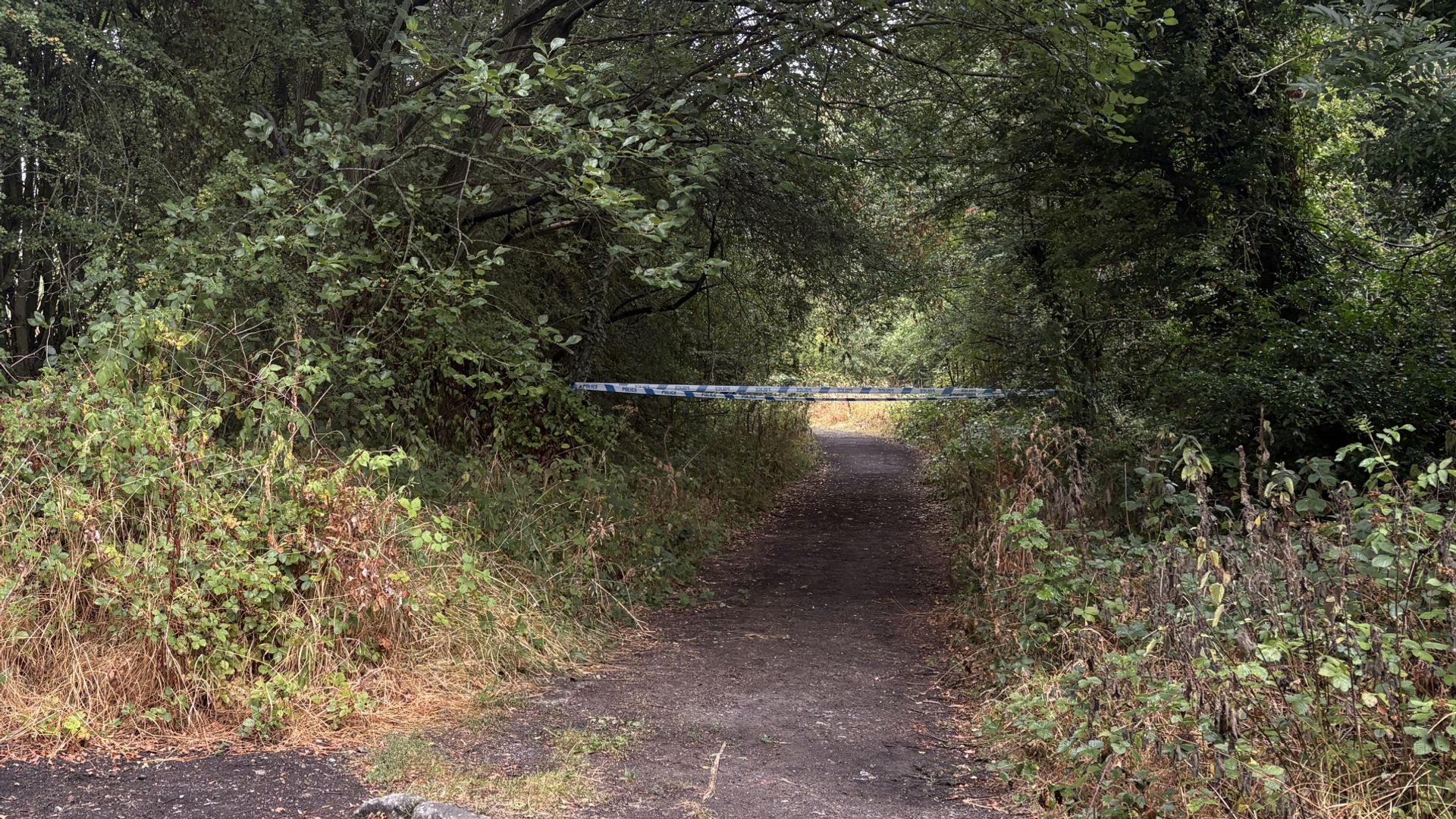 Man bitten by dog on path 'died from complications of leg wound', inquest hears