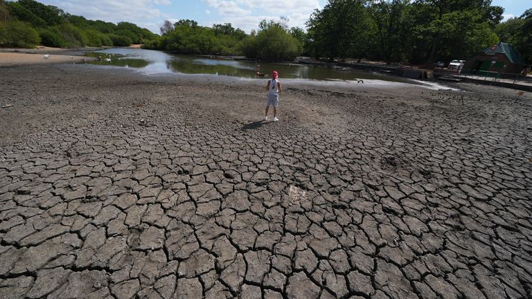 The cracked, parched mud bed of Hollow Pond, in Wanstead, east London, as many waterways also ran dry. Pic: PA