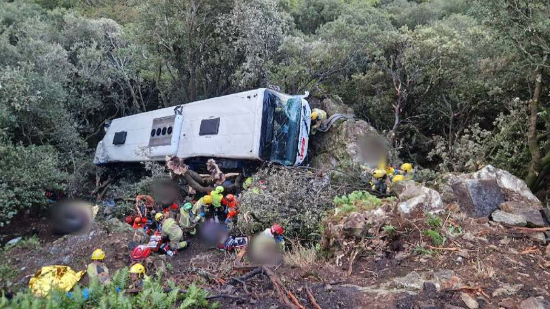 Over 80 injured after bus plunges down Spanish hillside