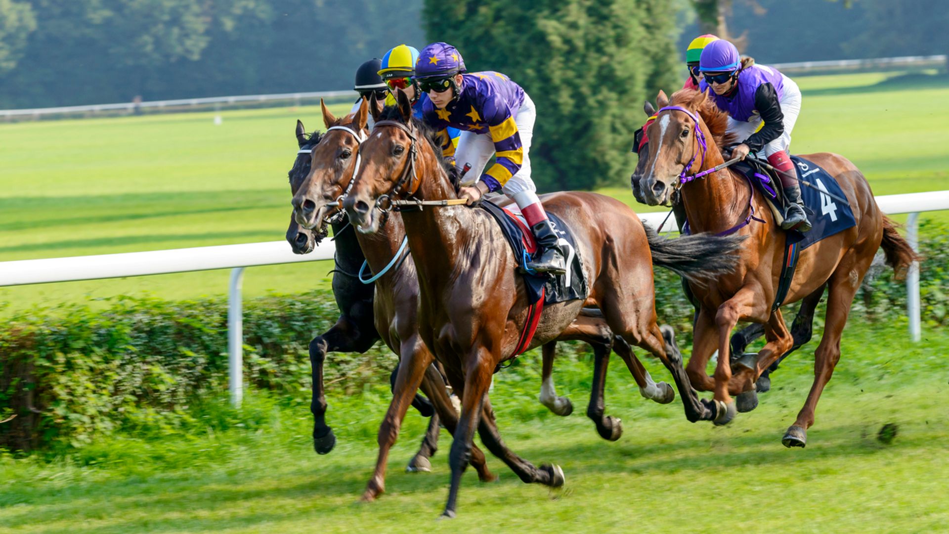 Online gambling group BetGoodwin eyes punt on £80m London float
