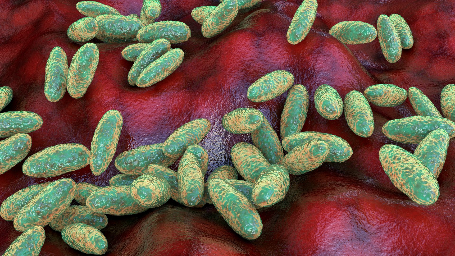 Russian lab worker 'dies of suspected plague' as 200 under observation