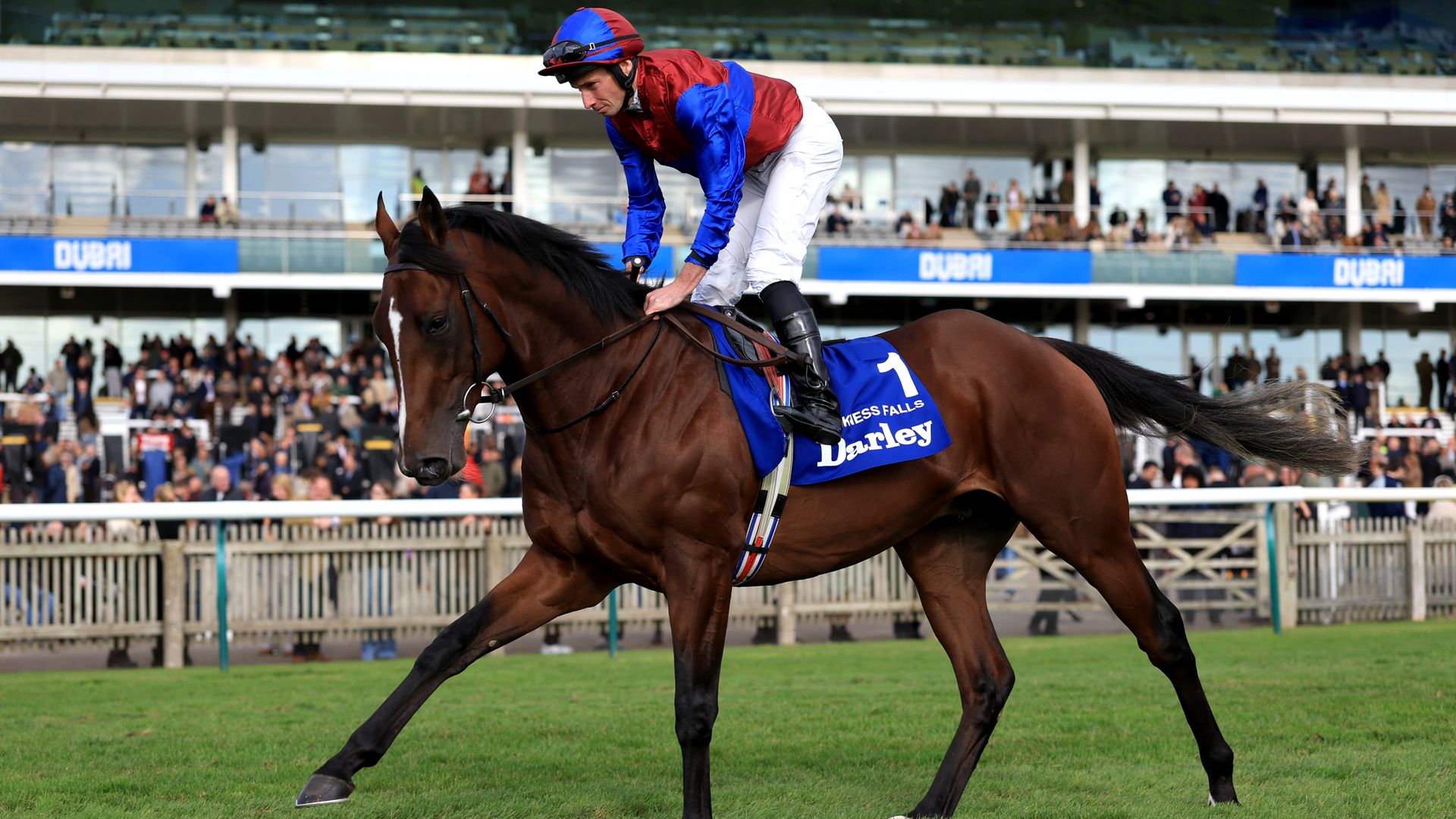 Darkness Falls strikes Dewhurst gold for O'Brien