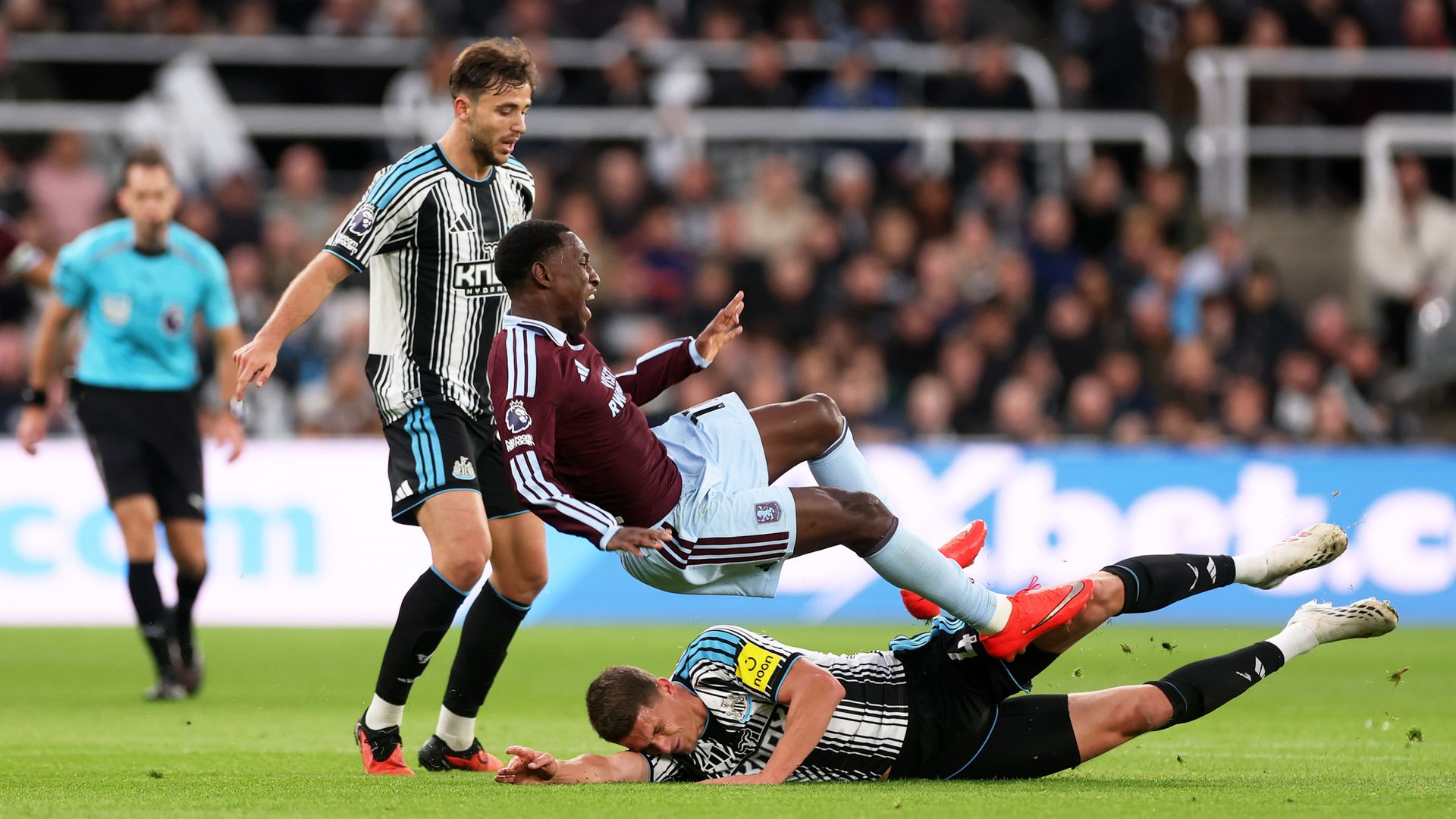 Webb backs Botman decision despite pundits' calls for red card