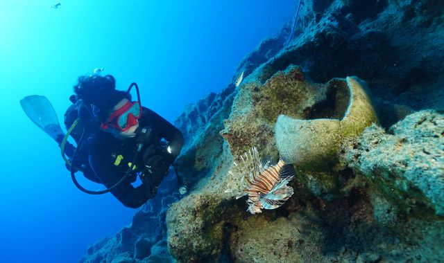 World's oldest shipwreck found off Turkish coast, archaeologists say