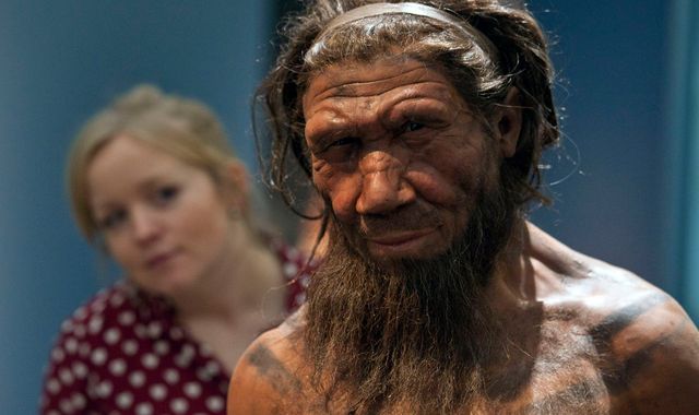 Neanderthals capable of both violence and care, bones from Iraqi cave suggest